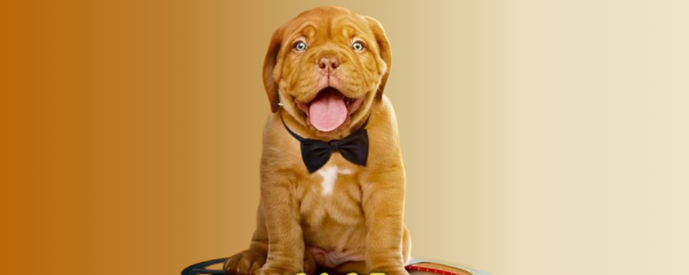 NY Dog Film Festival