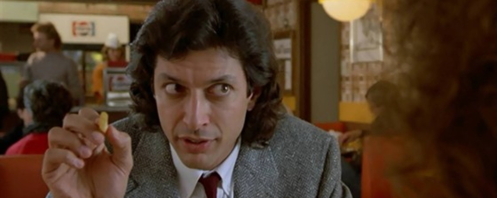the fly 4