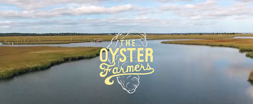 Promotional Still for The Oyster Farmers